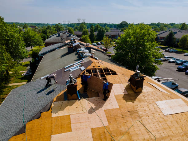 Best Storm Damage Roof Repair  in West University Place, TX